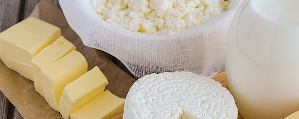 Dairy Ingredients and Cheese Business Division