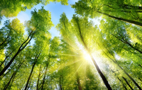 Response to TCFD Recommendations