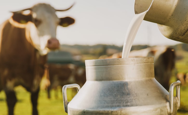 Stable supply through sustainable dairy and livestock farming