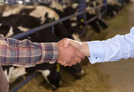 Diversify suppliers and deepen relationships